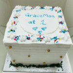 Square Mini Size Cakes