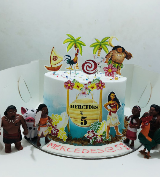 Girls Themed Cakes with toys