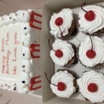 Square Cakes (Whipping Cream)